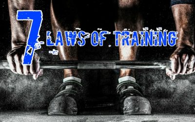 The 7 Laws of Training